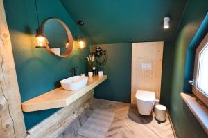 un baño con lavabo e inodoro en Wild Cottage, en Poiana Mărului 31 fotos más