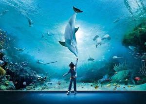 a person standing in front of an aquarium with a shark at Oceania in Genoa