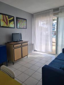 ein Wohnzimmer mit Fernseher und Sofa in der Unterkunft Appartement du golf terrasse piscine tout à pied in Ciboure