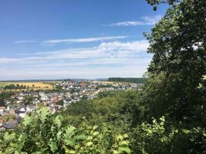 a view of a town from a hill with trees at Ferienwohnung Nauborn in Wetzlar mit großer Terrassse, ruhig gelegen in Wetzlar