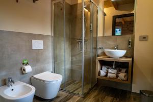 a bathroom with a shower and a toilet and a sink at B&B Eco Chalet Merlet in Champoluc