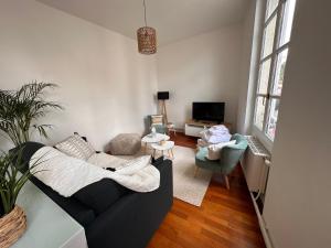 ein Wohnzimmer mit Sofa und Fernseher in der Unterkunft Appartement cœur de ville in La Flèche