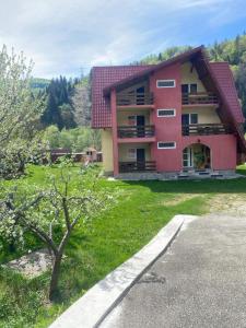 a large red building with a green yard and a tree at Pensiunea BUJOR DE MUNTE in Voineasa