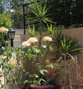 a garden with flowers and palm trees and a fence at I Registi in Scalea +49 photos