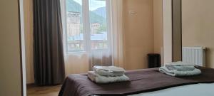 a bedroom with a bed with two pillows and a window at Hotel Svanseti in Mestia