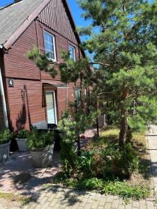 Zahrada ubytování Molo 4 appartment + 8 fotografií