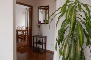Fotografia z galérie ubytovania Casa Soleada en Calle Tranquila v destinácii Seville