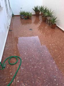 Fotografia z galérie ubytovania Casa Soleada en Calle Tranquila v destinácii Seville