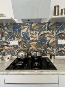 two pots and pans on a stove top in a kitchen at Nino's cozy apartment in K'obulet'i +8 photos