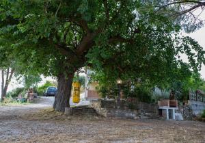 A garden outside Casa Vacanze Diamante
