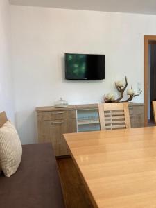 TV a/nebo společenská místnost v ubytování Ferienwohnung