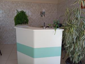 a bathroom with a sink with plants on it at Pousada Piri carvalho in Pirenópolis