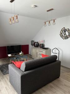 a living room with a black couch and red pillows at Lauralys in Mons