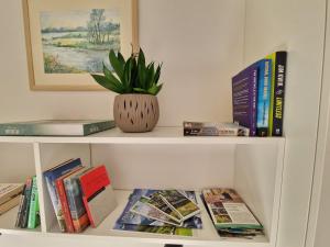 Biblioteca nella casa vacanze