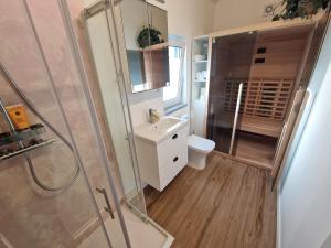 un bagno con doccia, lavandino e WC di Holiday home Melisa a Mozirje Altre 35 foto
