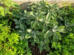 Giardino di Holiday home Melisa