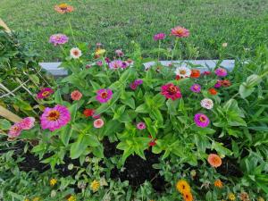 Giardino di Holiday home Melisa