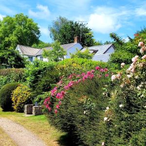 une haie avec des fleurs roses dans un jardin dans l'établissement Keep Cottage, à Southleigh