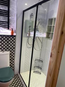 The Barbican View في بلايموث: حمام مع دش ومرحاض أخضر