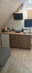 斯维诺乌伊希切Studio Robi 18m2的带水槽和台面的厨房