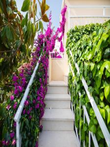 een trap bedekt met paarse bloemen in een tuin bij Apartments Roda in Supetar