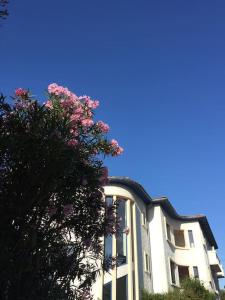 a building with a flowering tree in front of it at Appartement T2 Les papillons in Arcachon