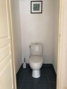 a bathroom with a toilet with a picture on the wall at Appartement T2 Les papillons in Arcachon +6 photos