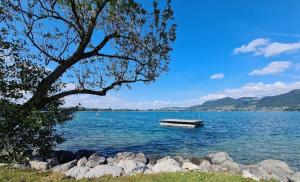 a boat in the middle of a large lake at Terrace Apartment Einigen in Einigen