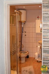 een badkamer met een toilet en een douche. bij Carski raj in Bribir +27 foto's
