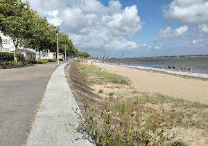 a beach with people and dogs in the water at L'Oasis - Studio à 350m de la mer & du centre ville in Saint-Nazaire