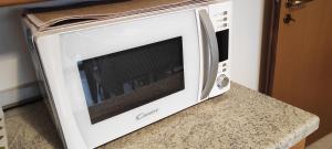 レッチェにあるA casa di Chiaraのカウンターの上に置かれた電子レンジ