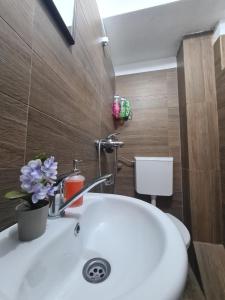 Koupelna v ubytování Veljanov Apartment 1 + 22 fotografií