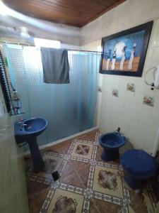 a bathroom with two blue toilets and a shower at Casa de huéspedes en Posadas in Posadas