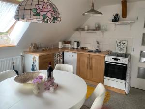 Kuchyň nebo kuchyňský kout v ubytování Podkrovní studio apartment pro 1-5 osob
