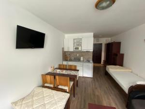 a small apartment with a living room and a kitchen at Bele Staze 3a Kopaonik, Brzece in Kopaonik