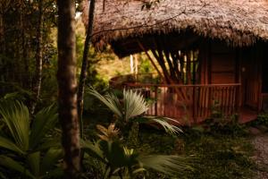 Galeriebild der Unterkunft Bosque Guardian Lodge in Tarapoto
