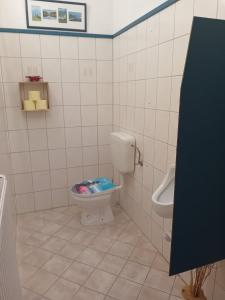 Koupelna v ubytování Apartma Peter1a