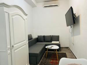 Televízia a/alebo spoločenská miestnosť v ubytovaní Apartment BIM