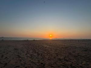 Galería fotográfica de Dolphin Leap Unit 6 en Rand Rifles 20 fotos más