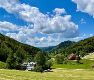 a green field with a house in the mountains at Casa Alma in Neuenweg