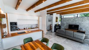Gallery image of New Villa with swimming pool in Petrovaradin