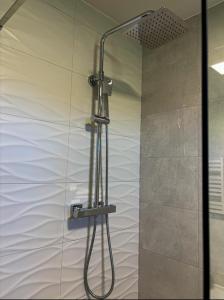 a shower with a shower head in a bathroom at Rezort Zvernica Vlachy - Family & Fun in Vlachy +88 photos
