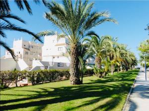 a row of palm trees in front of a building at LMHA25, Puerto Latino 11, Tomas Maestre Marina, La Manga in La Manga del Mar Menor