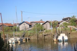 un grupo de barcos están atracados en un muelle en Appartement spacieux Arcachon, en Arcachon