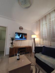 Μια τηλεόραση ή/και κέντρο ψυχαγωγίας στο Apartman Sutomore