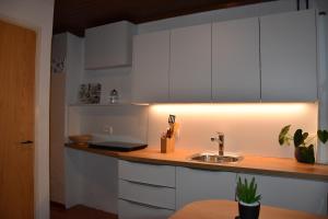 Η κουζίνα ή μικρή κουζίνα στο Apartma Franko +16 φωτογραφίες