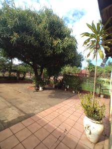 a courtyard with a tree and a bench at Casa de huéspedes en Posadas in Posadas +17 photos