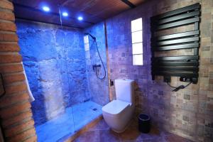a bathroom with a toilet and a glass shower at La Porteria in Viladomíu Vella +37 photos