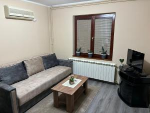 una sala de estar con un sofá y una mesa en Icy Apartment, en Belgrado