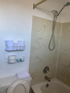 a bathroom with a shower and a toilet and a sink at Swiss Sunset Inn in Penticton